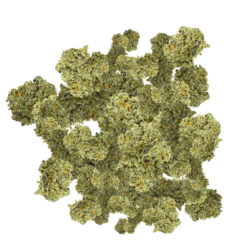 Platinium CBD - Amnesia - Small Bud - Indoor - Fleurs de chanvre