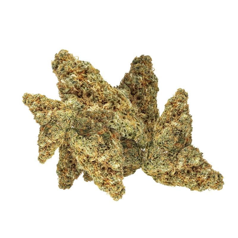 Platinium CBD - White Widow - Small Bud - Indoor - Fleurs de chanvre