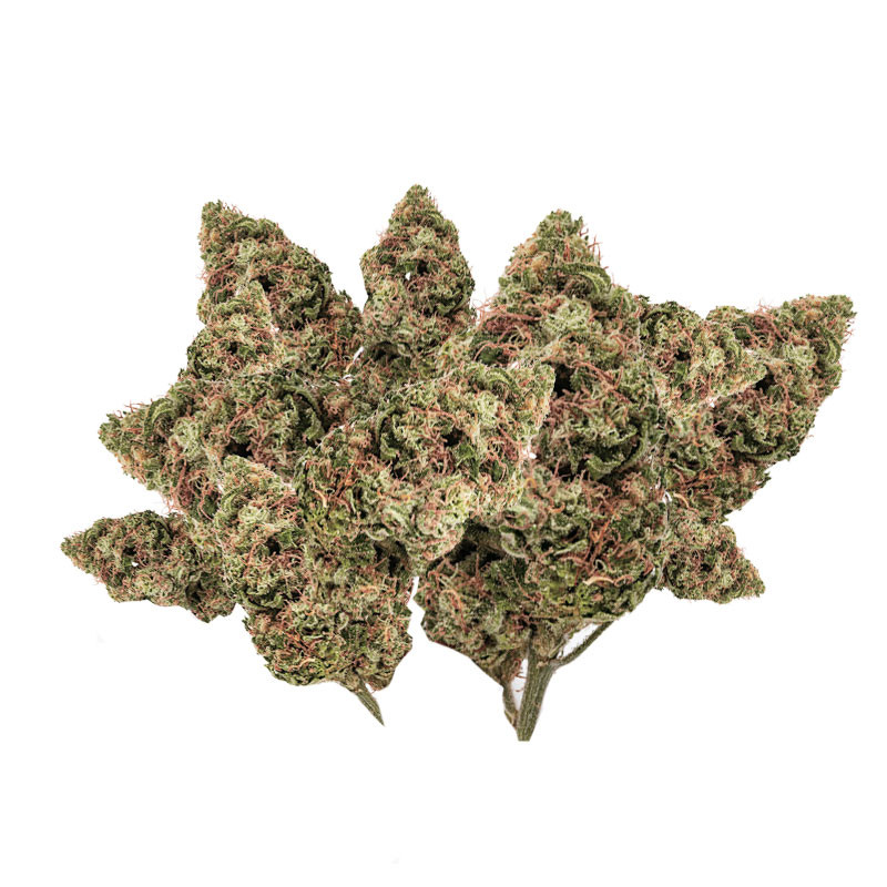 Platinium CBD - Cannatonic - Small Bud - Serre - Fleurs de chanvre