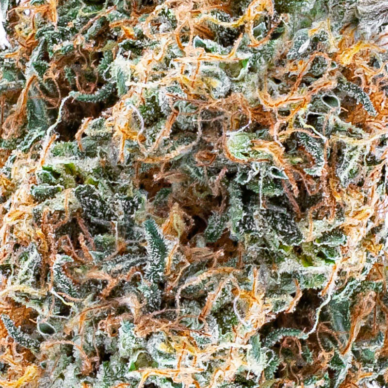 Limão Pop CBD - Flor Premium CBD