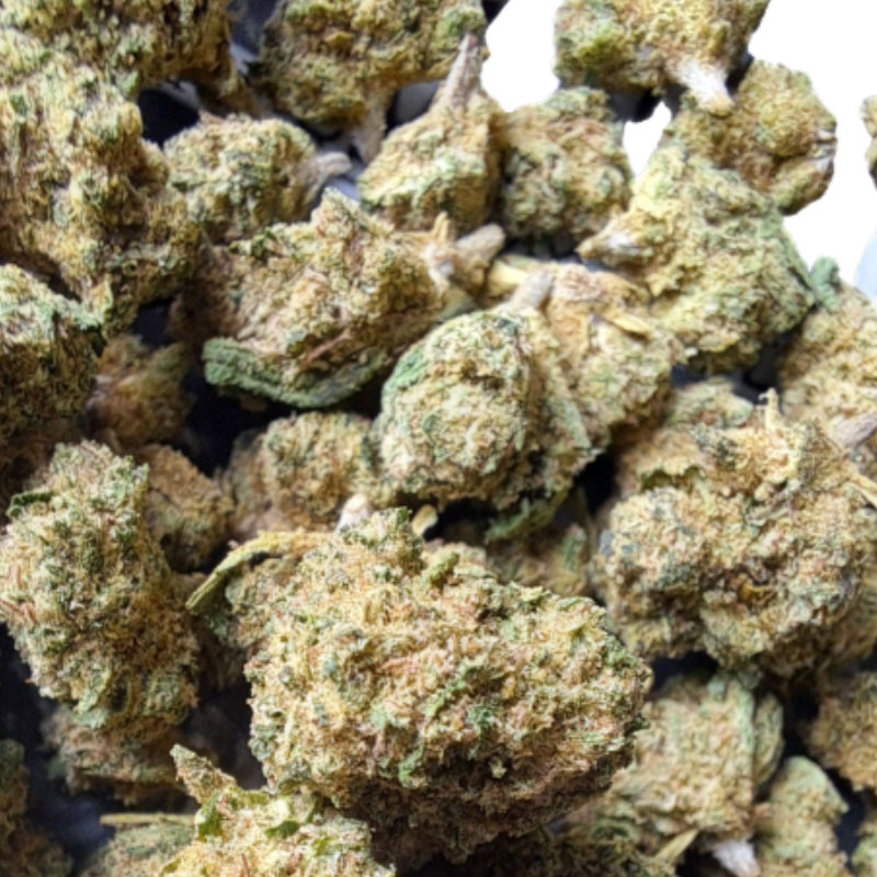 Cannatonic Small Bud - Fiore CBD premium