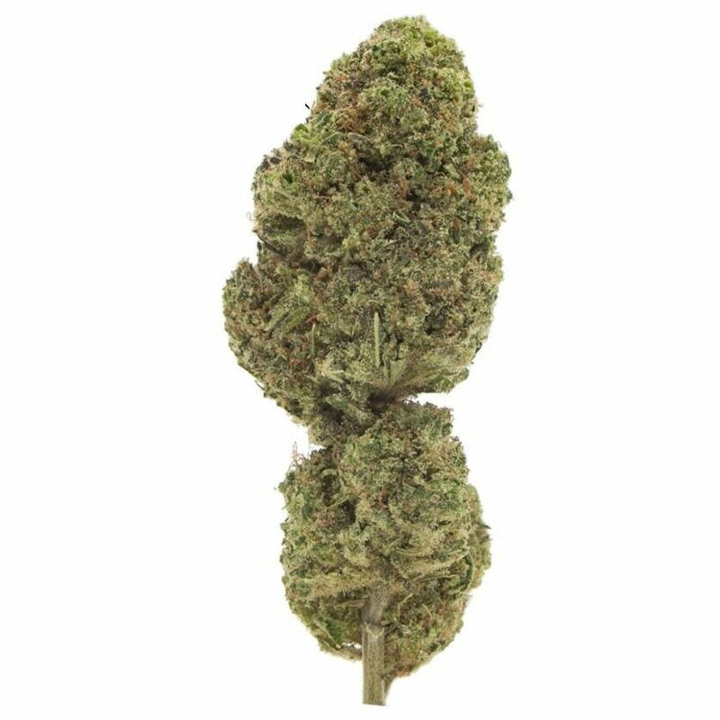 Blue Dream - CBD Flower for Relaxation