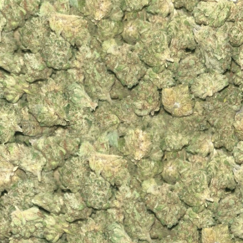 Platinium CBD - Amnesia - Small Bud - Indoor - Fleurs de chanvre