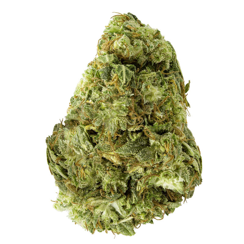 Monster Kush CBD Small Bud - Fiore di CBD di prima qualità