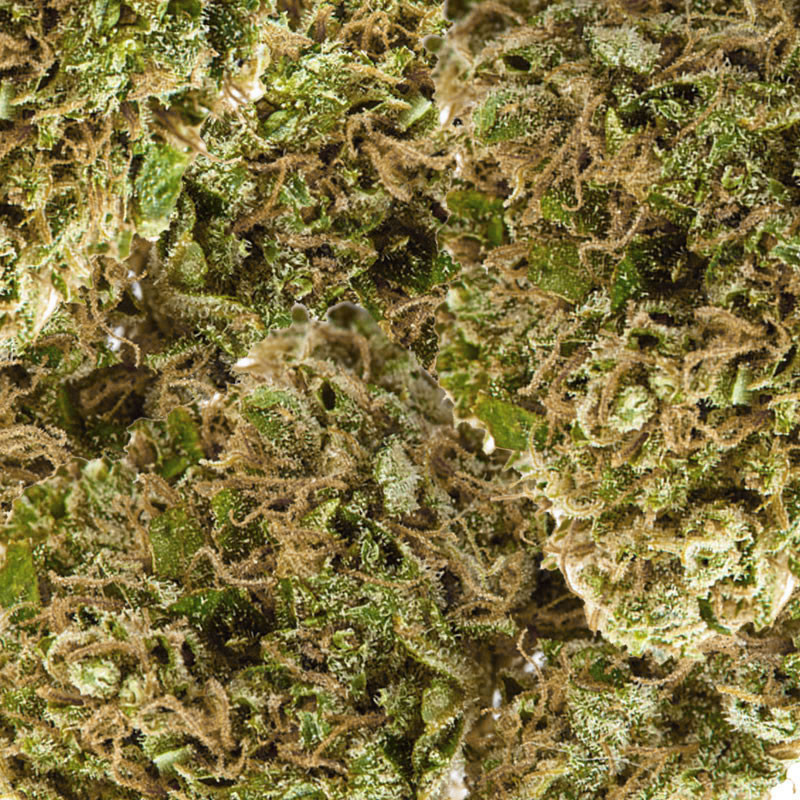 Monster Kush CBD kleine top - Premium CBD bloem