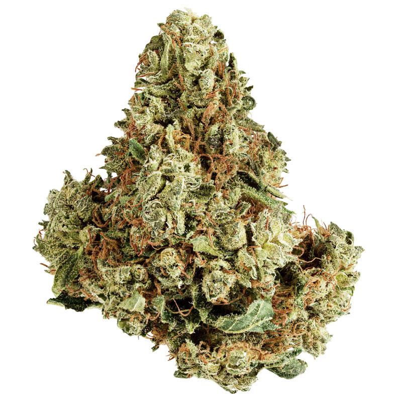 Platinium CBD - AK47 - Indoor - Fleurs de chanvre