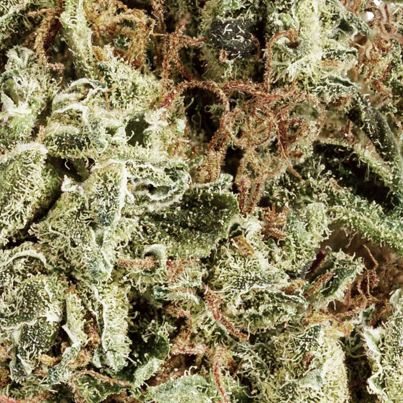 Platinium CBD AK47 - superieure binnenkwaliteit