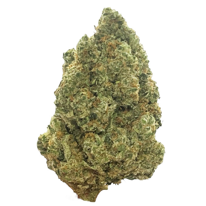 CBD Amnesia Bloem - Wellness Binnen