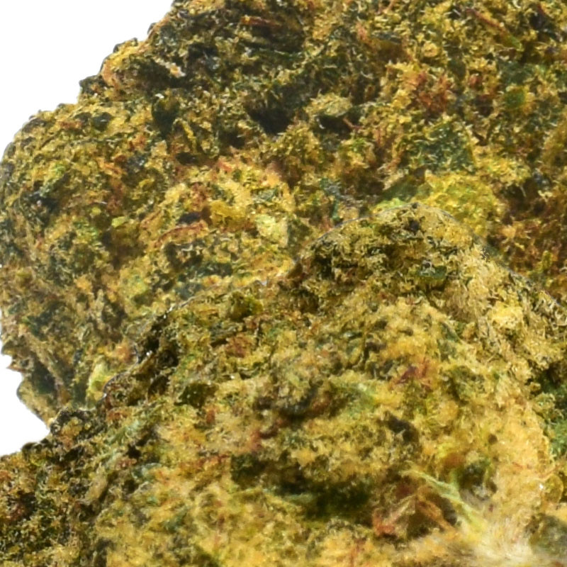 Platinium CBD - Lemon Haze - Small Bud - Serre - Fleurs de chanvre