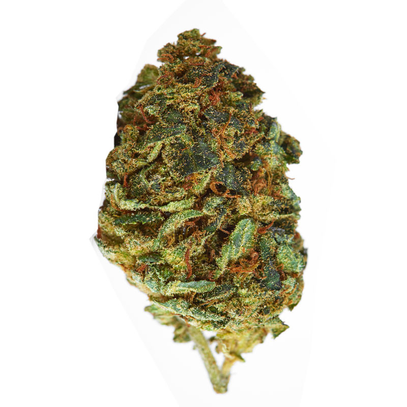 Platinium CBD - 2kittles - Small Bud - Serre - Fleurs de chanvre