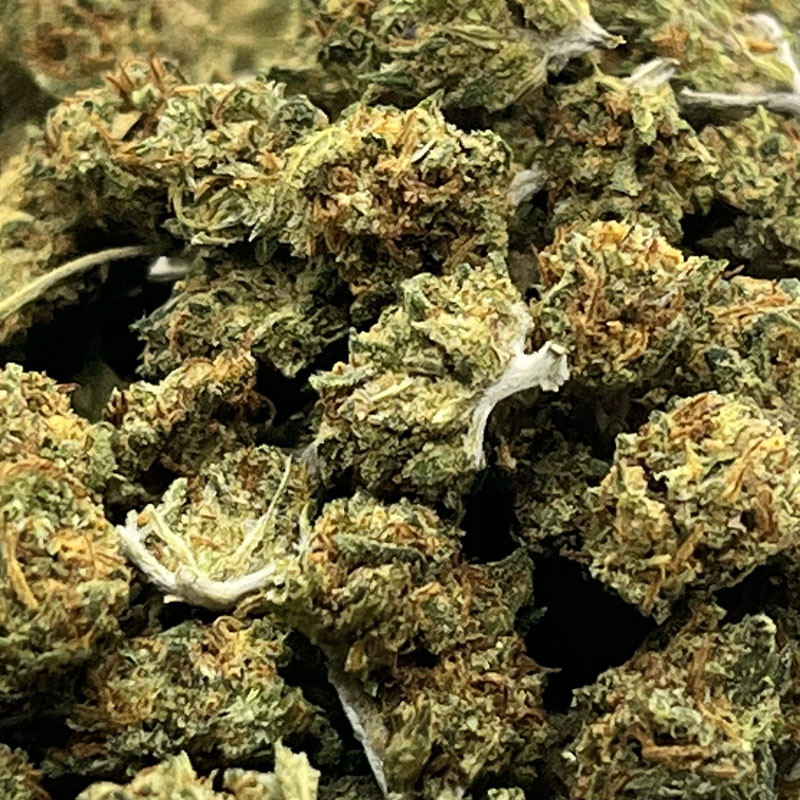 Platinium CBD - 2kittles - Small Bud - Serre - Fleurs de chanvre