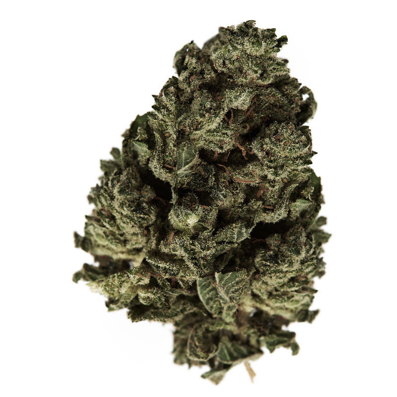 Platinium CBD - Green Sugar - Serre - Fleurs de chanvre