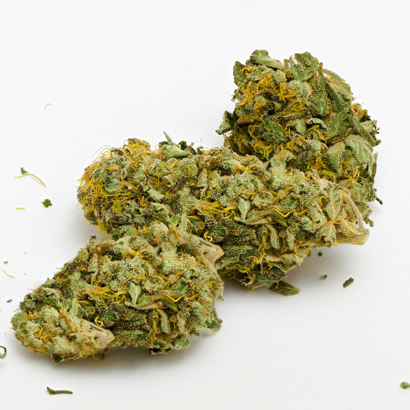 Platinium CBD - Lemon Haze - Small Bud - Serre - Fleurs de chanvre