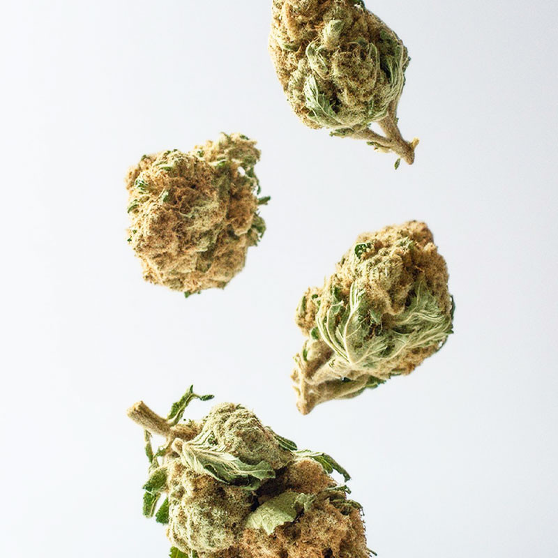 Platinium CBD White Widow - Premium CBD flower