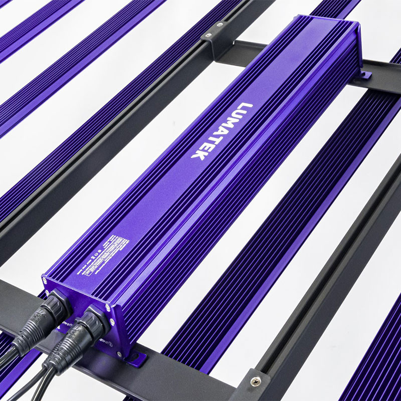 Lumatek - LED equipamento hortícola Zeus Pro Evo 1000W para colheitas de qualidade