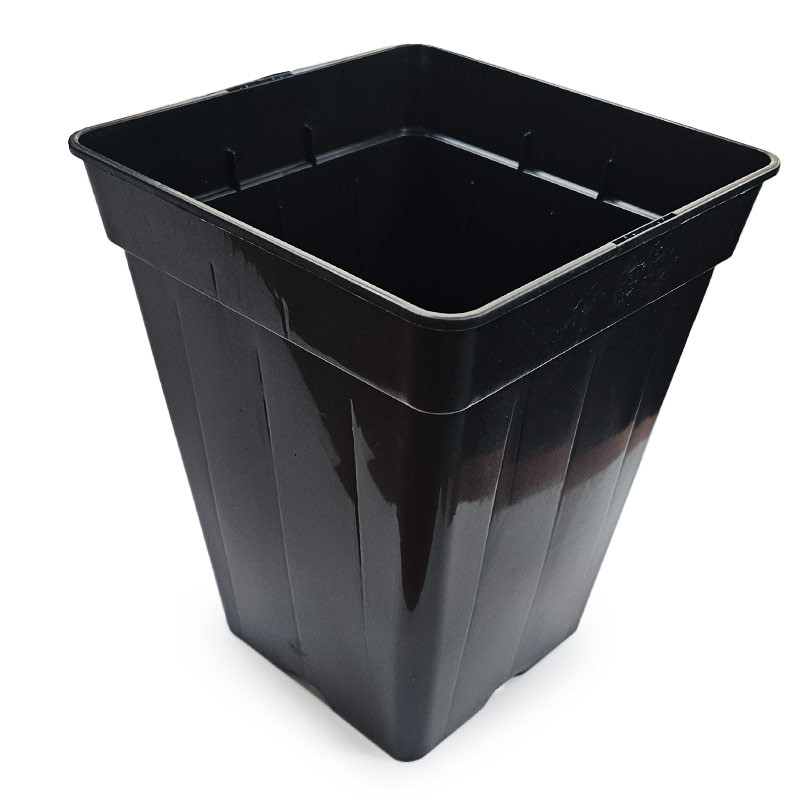 Platinium - Pot plastique noir carré - 3,5L