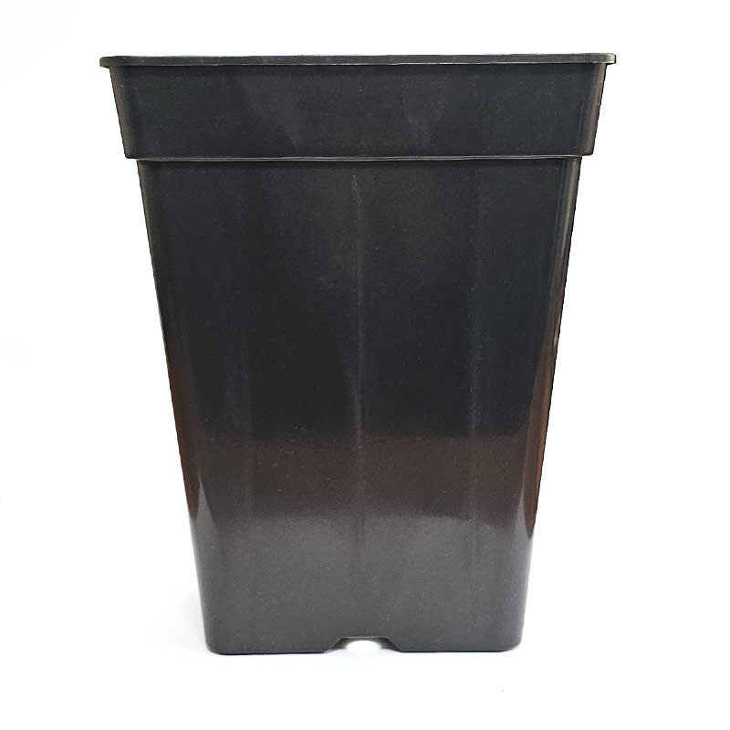 Pot carré noir 3,5L Platinium : solide, pratique et réutilisable