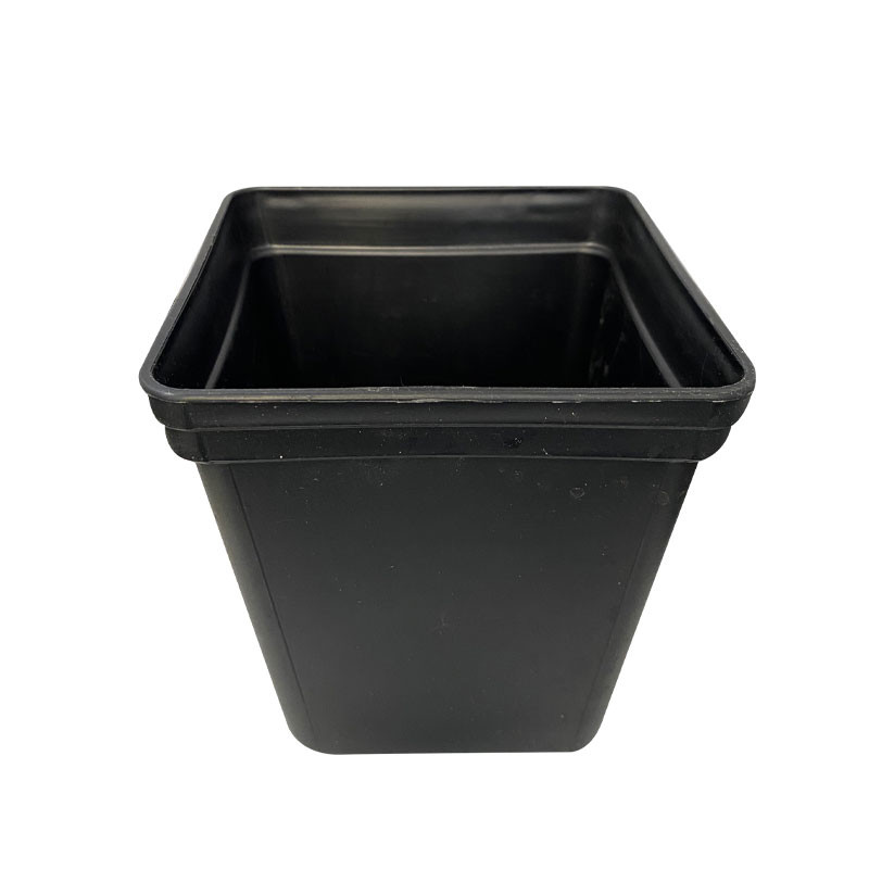 1.65L square pot: ideal for making the most of your crop
