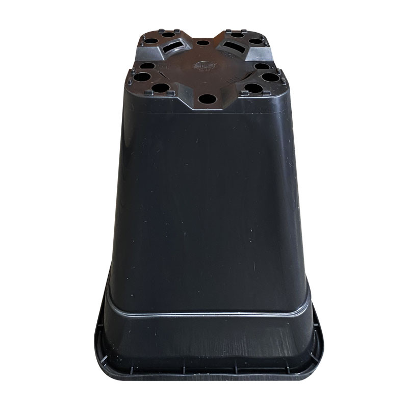 1.65L square pot: ideal for making the most of your crop