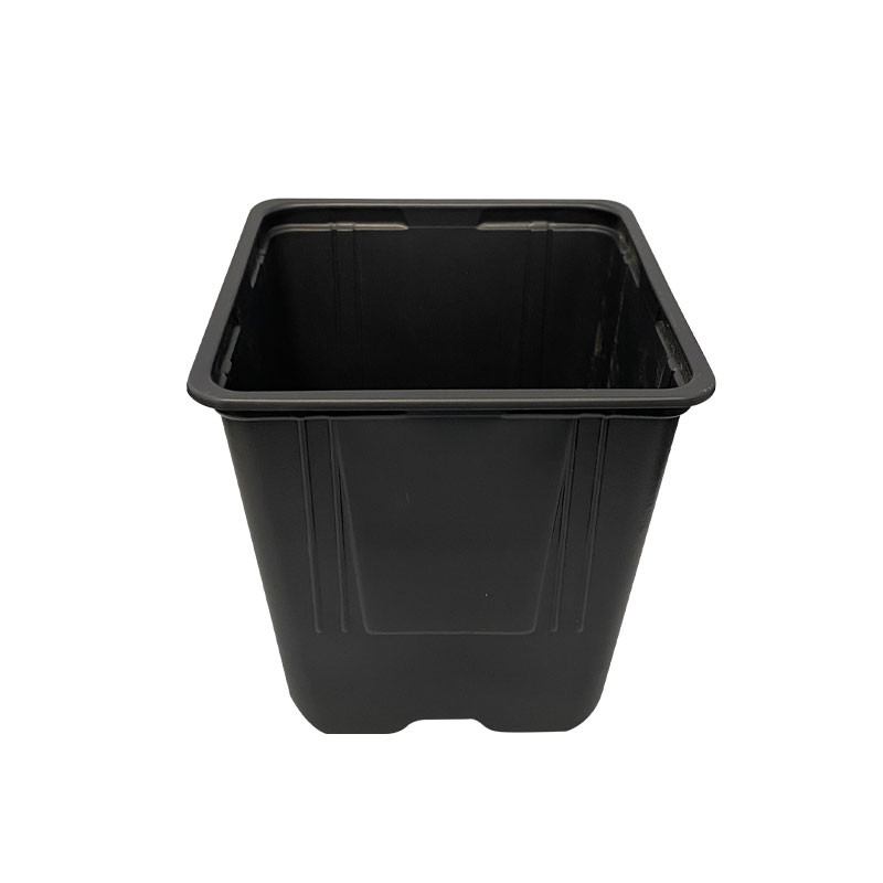 1.65L square pot: ideal for making the most of your crop