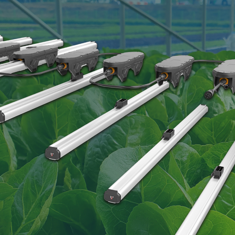 ThinkGrow LED - Bar LED Modelo One FR-1 para cultivo no interior