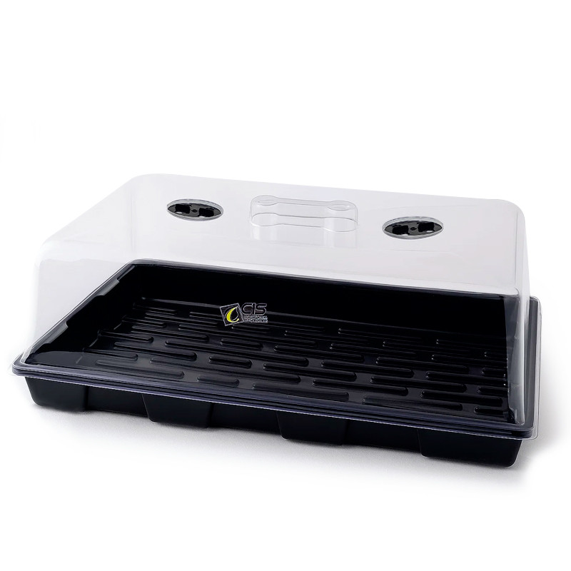 Platinium - Medium greenhouse - 59x39x21cm - Tray + Dome