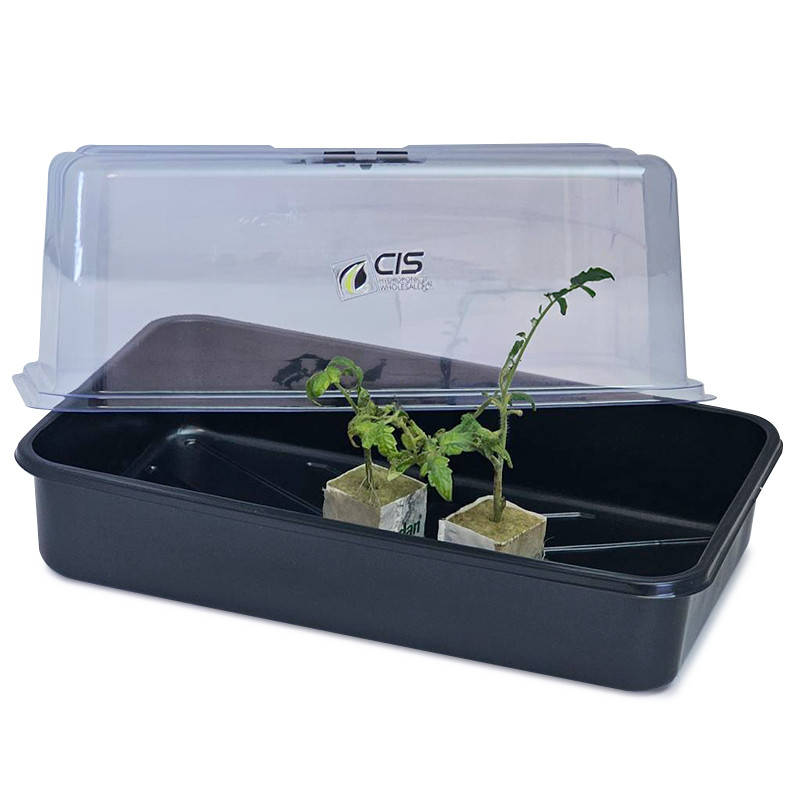 Platinium - Petite serre - 37x24x21cm