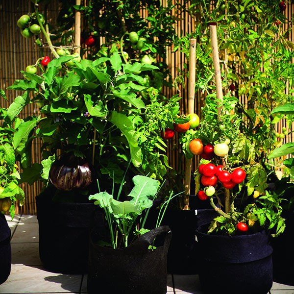 Culture Indoor matériel de jardin hydroponique : Smart Pot 24L