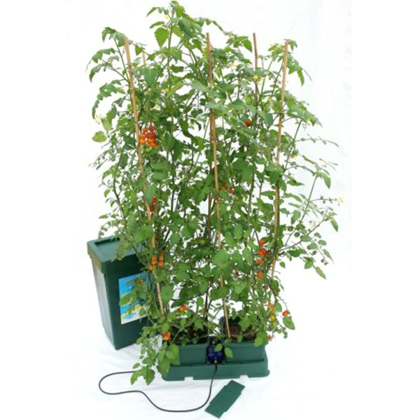 système hydroponique AutoPot - Kit Easy2Grow 2 pots 8.5L , sans pompe ni électricité 