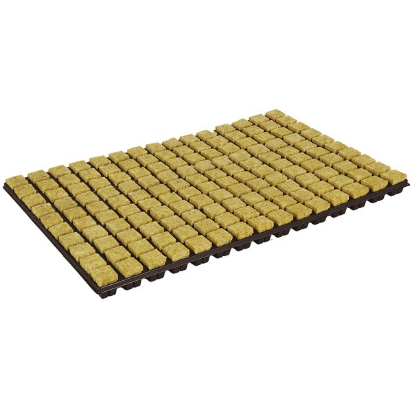 Grodan - Plateau de 150 cubes de laine de roche 2cm
