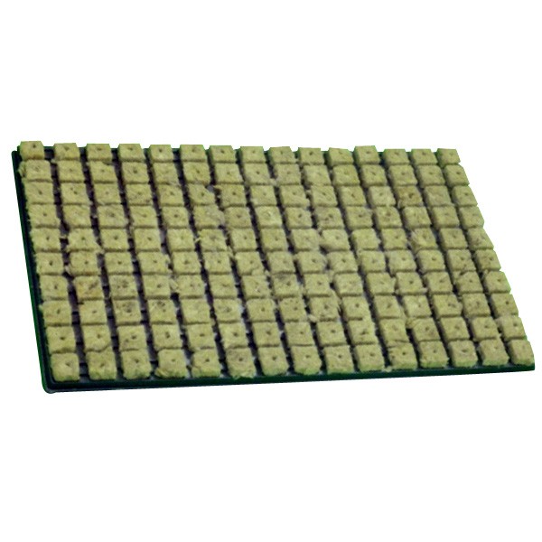 Tabuleiro de 150 cubos Grodan LDR para germinação e estacas