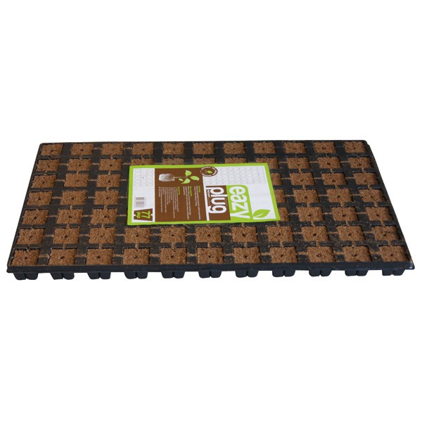 Eazy Plug - Piastra di 77 cubi di germinazione e taglio