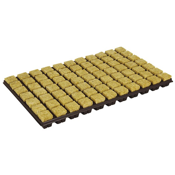 GRODAN - Plaque de 77 cubes de laine de roche - 36x36x40mm