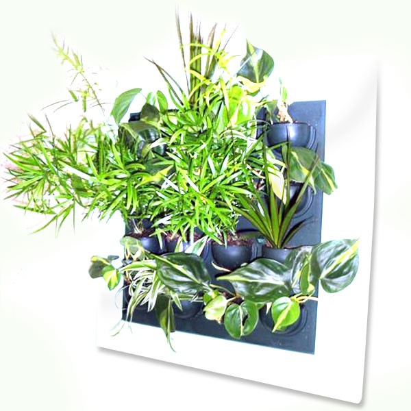 FLOWALL plant board with white frame