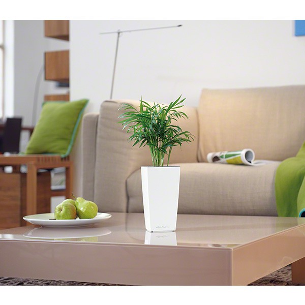 Mini Cubi 9 white