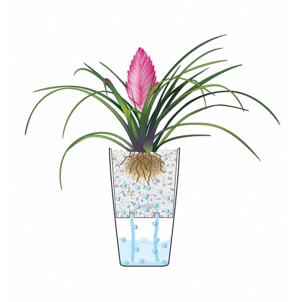 Pot Lechuzza Mini Cubi 9 silver , hydroponic pot , reserve pot 