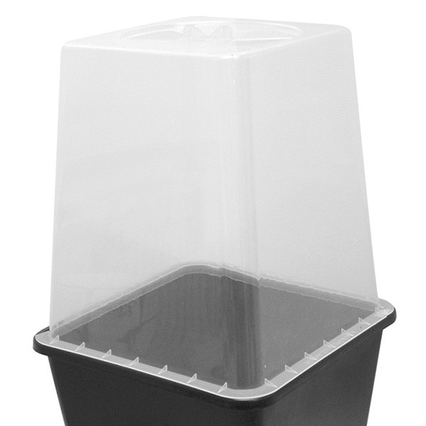 Greenhouse for pot 11 Ltr , greenhouse for young plants in pots