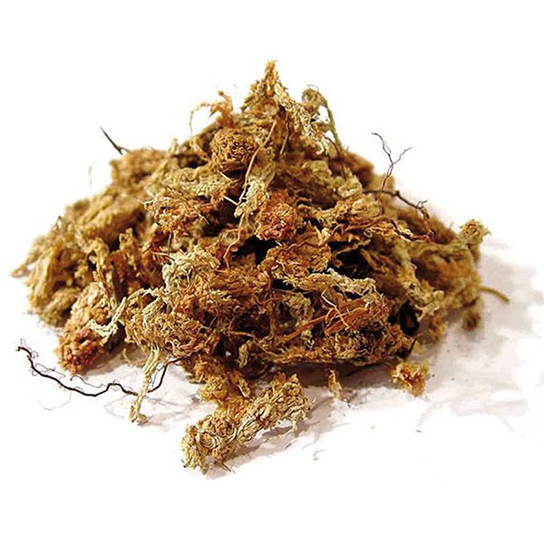 Sphaigne du Chili 500g - Substrat de culture