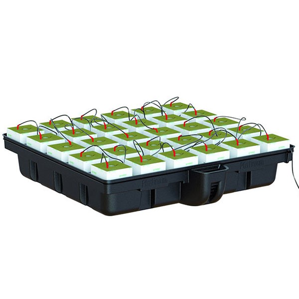 Platinium - HydroStone - 30 cubes - 120 x 120 x 38,5cm - Système hydroponique