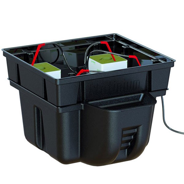Platinium - HydroStone - 4 cubes - 40 x 40 x 38,5cm - Hydroponic system