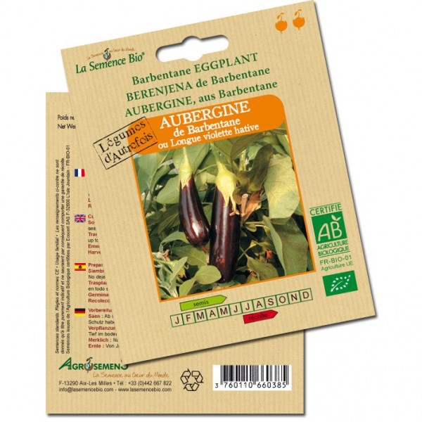 La Semence Bio - Aubergine aus Barbentane