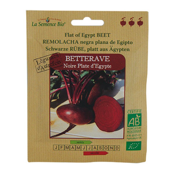 La Semence Bio - Bettrave noire plate d'Egypte