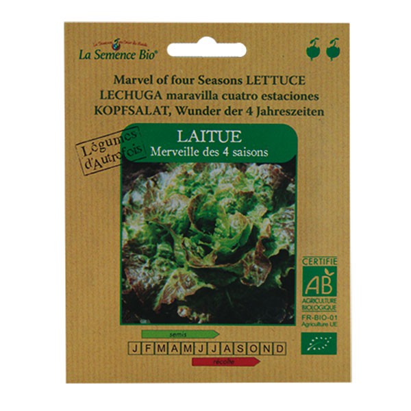 La Semence Bio - Lettuce wonder of the 4 seasons