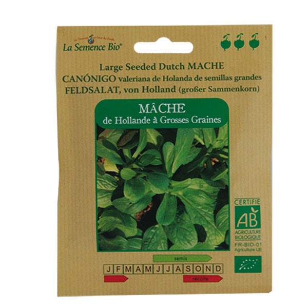 La Semence Bio - Large-seeded Lamb's lettuce