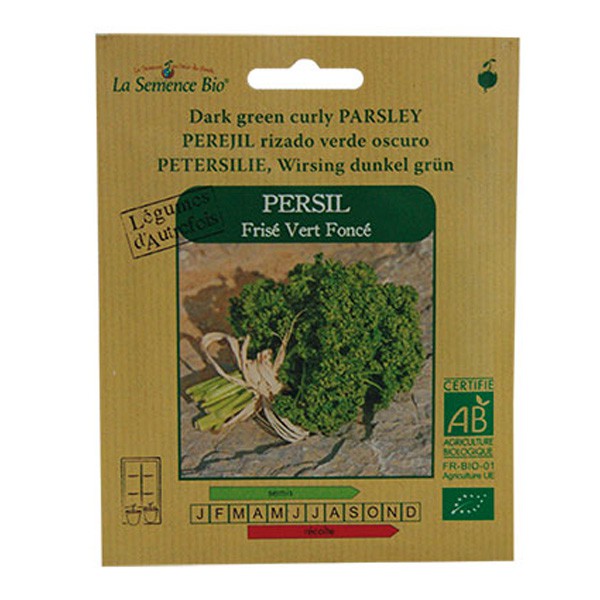 La Semence Bio - Perejil rizado verde oscuro