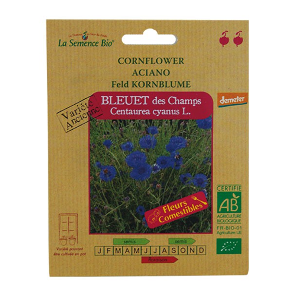 Organic Seeds - Field Blueberry
