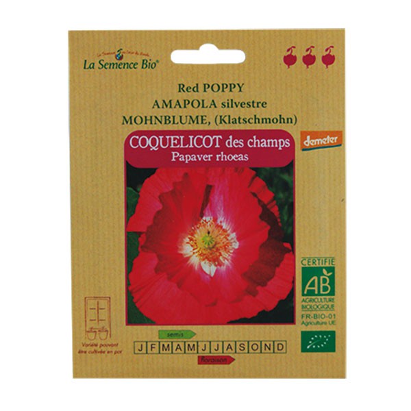 ORGANIC SEEDS - field poppy