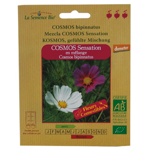 Bio-Samen -Cosmos Sensation In Der Mischung