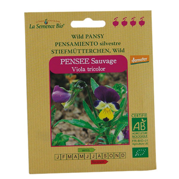 Graines Bio -Pensee Sauvage