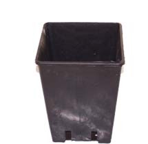 Vaso di plastica quadrato nero 13x13x18cm - Set di 50 pezzi